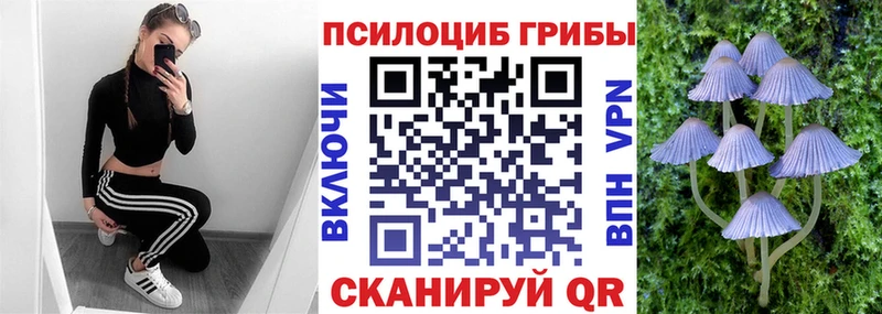 Псилоцибиновые грибы Psilocybine cubensis  Купить закладки  Маркс 